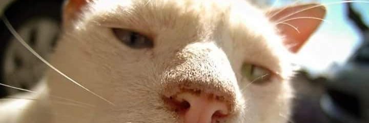NgXuDat's profile banner image