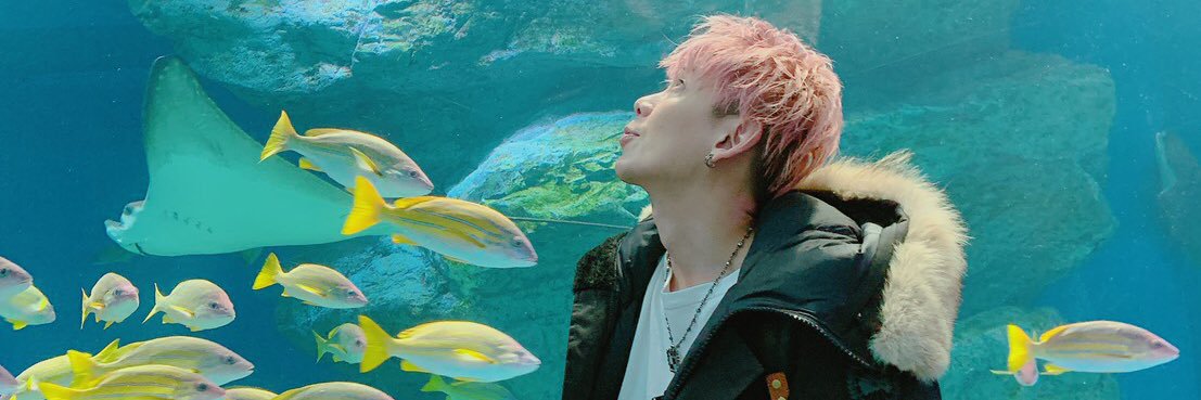 michi38comachi's profile banner image