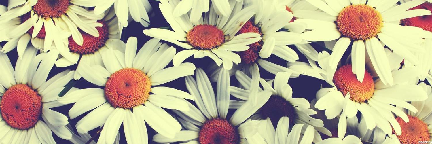 terilynnashley's profile banner image