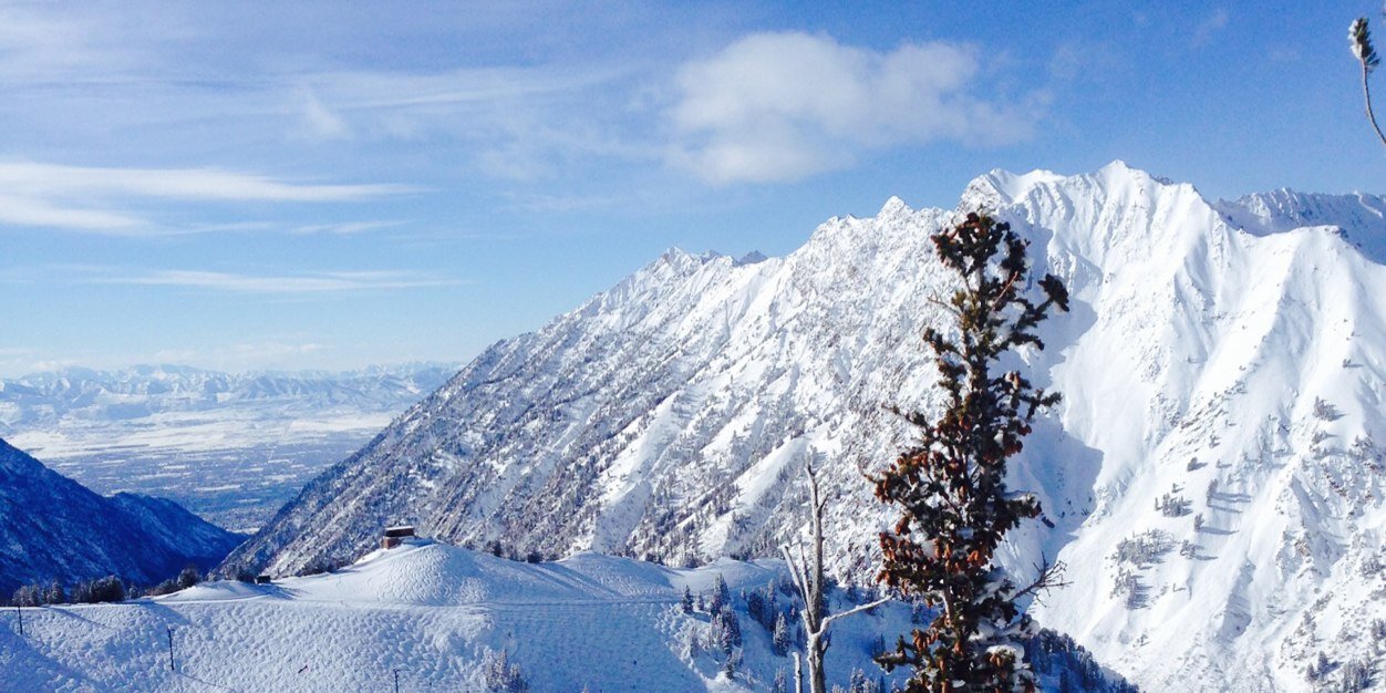 Tyler Wakstein banner