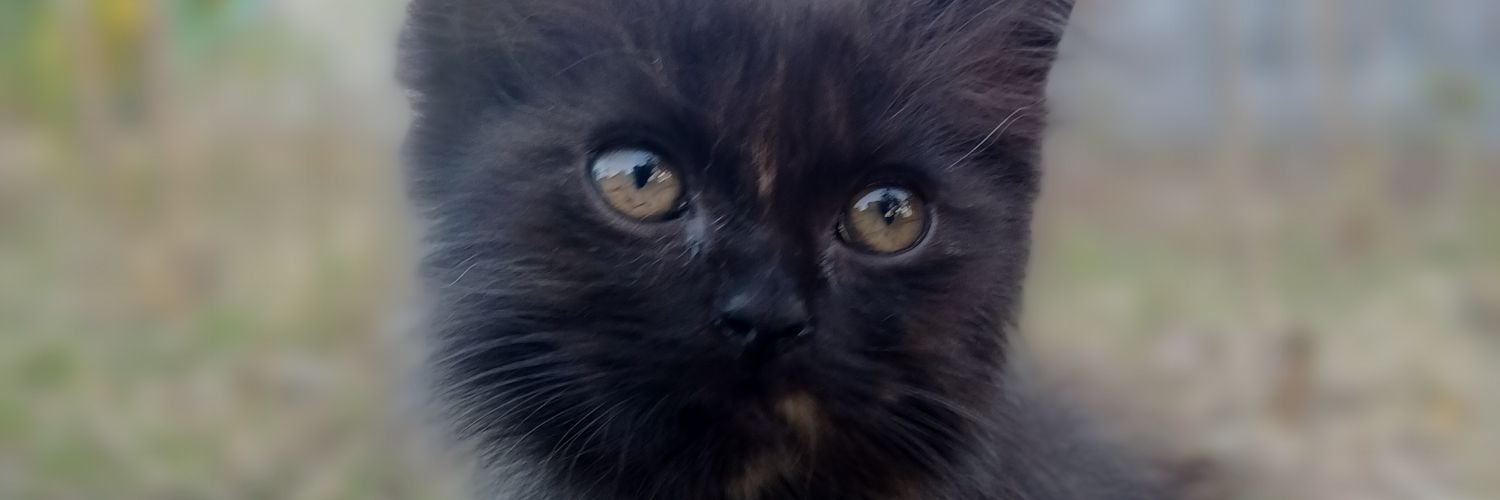maz_buds's profile banner image
