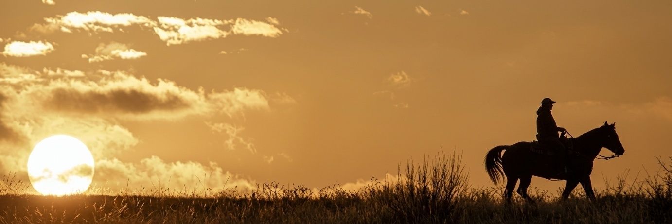 BioDustX banner