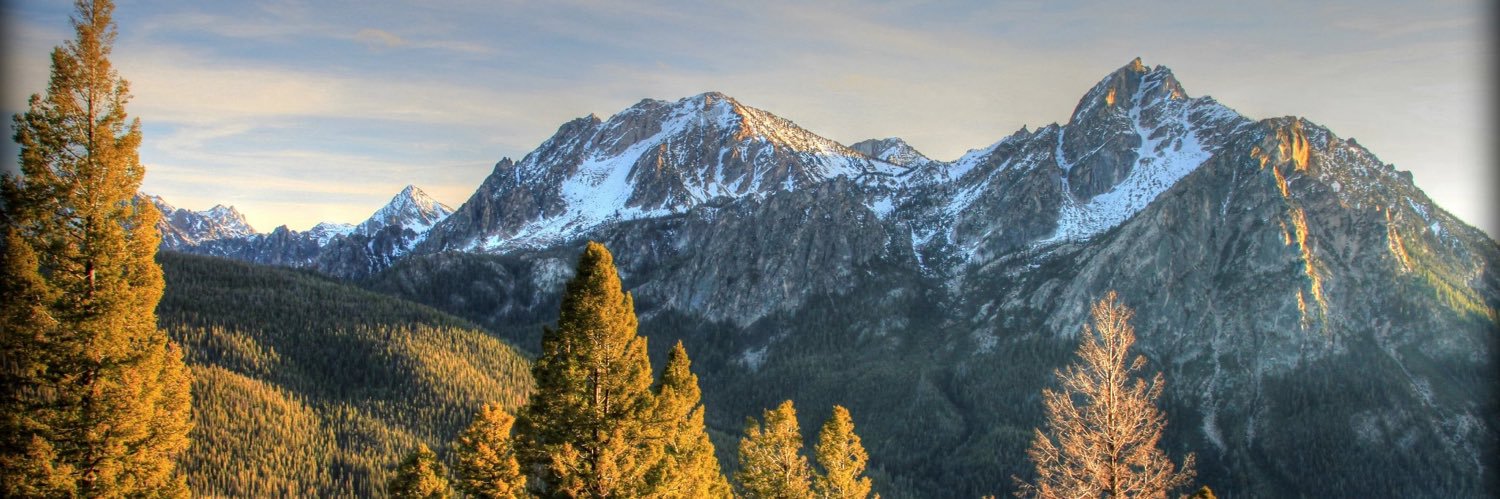 WildernessNymph's profile banner image
