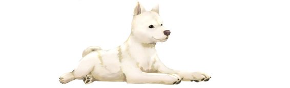 michael_narou's profile banner image