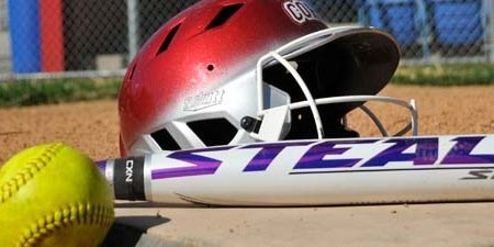 Redhound Softball banner