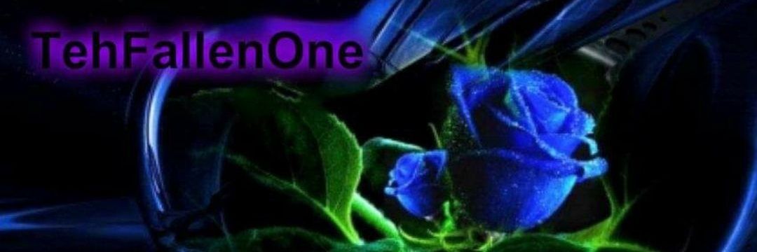TehFallenOne's profile banner image