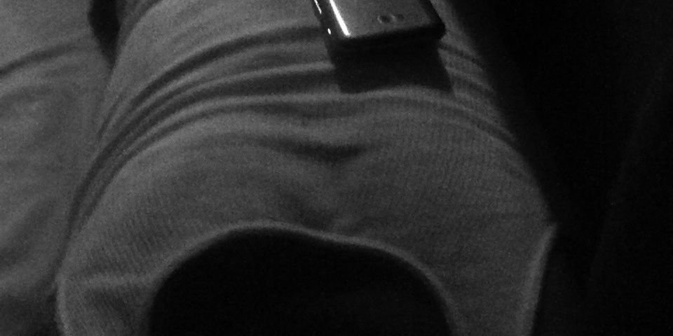 Terrapin Prince banner