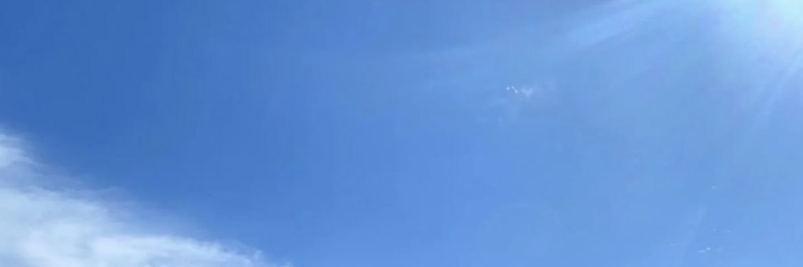 deli banner