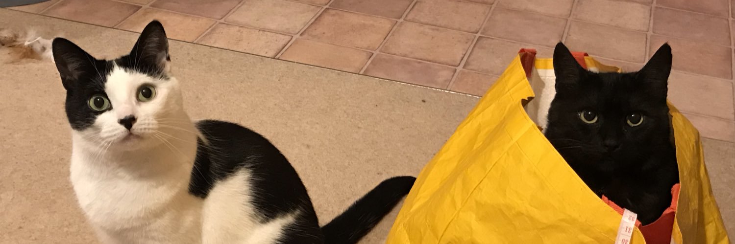 Crystal Short banner