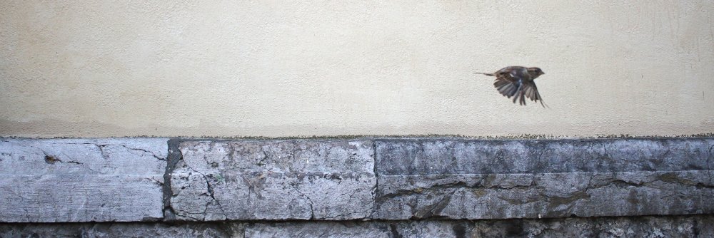 elgriswashere's profile banner image