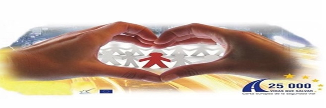 ipmtvalencia's profile banner image