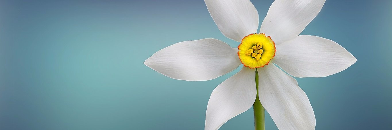 meishushukla's profile banner image