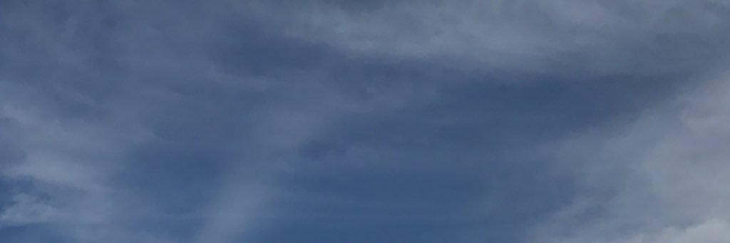 ronamholiday's profile banner image