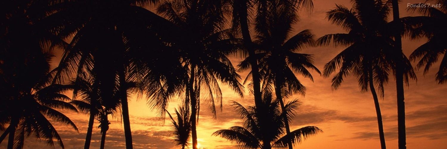 indiansb's profile banner image