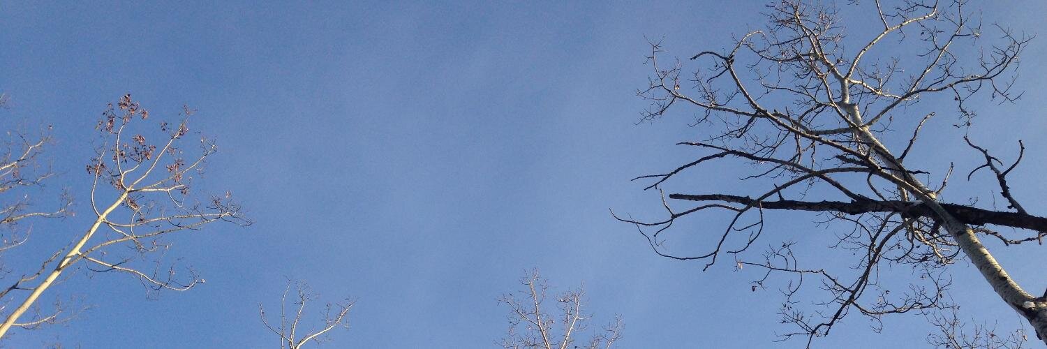 Elizabeth Faber banner