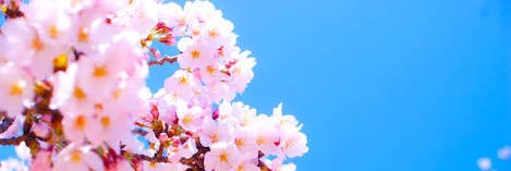 0331Eaqua's profile banner image