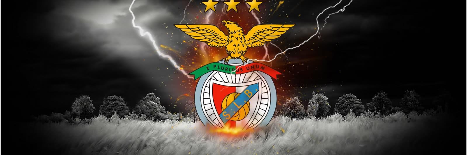 machadovsky1's profile banner image