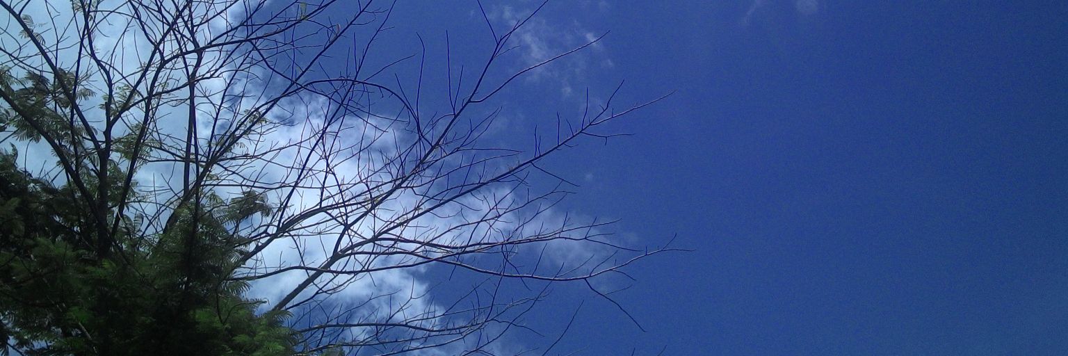 deardoabelardus's profile banner image