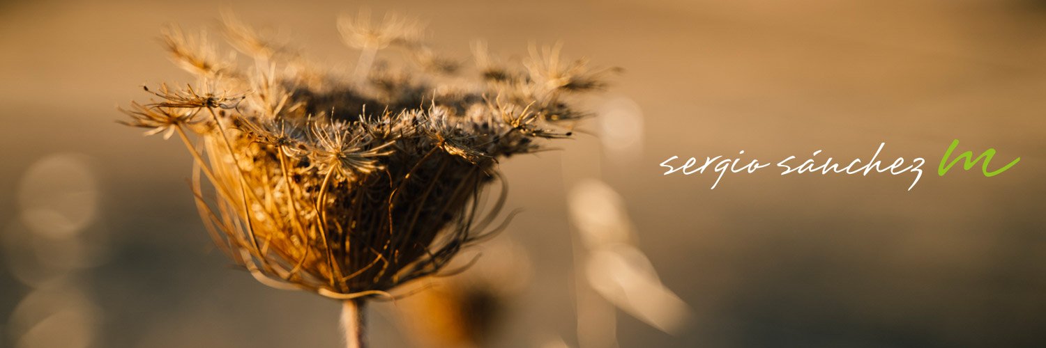 sanchezsergi's profile banner image