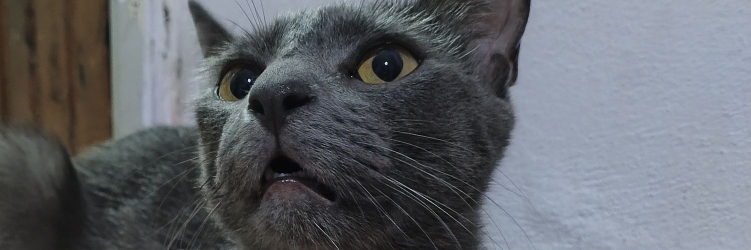 toycancelada's profile banner image