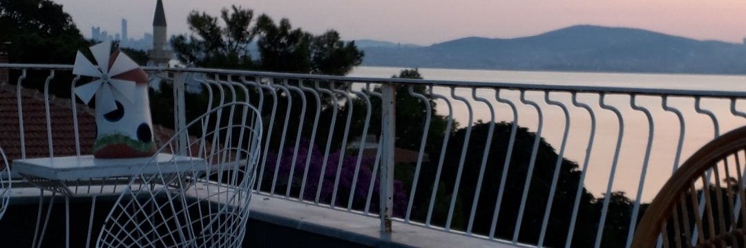 Aslindaca's profile banner image