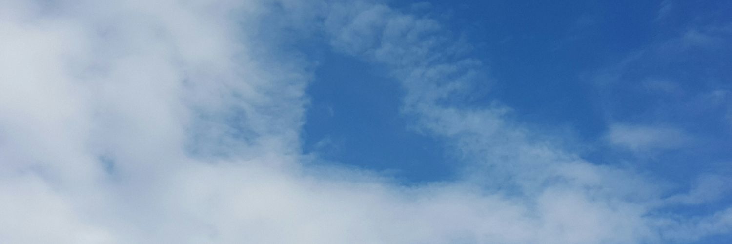 AZangrande's profile banner image