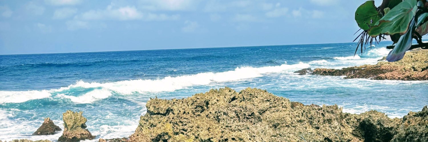 raqueferrerf's profile banner image