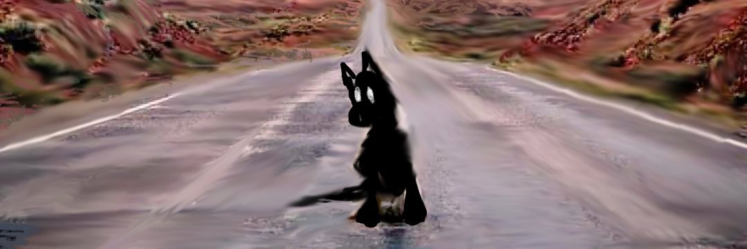 schifnimrod's profile banner image