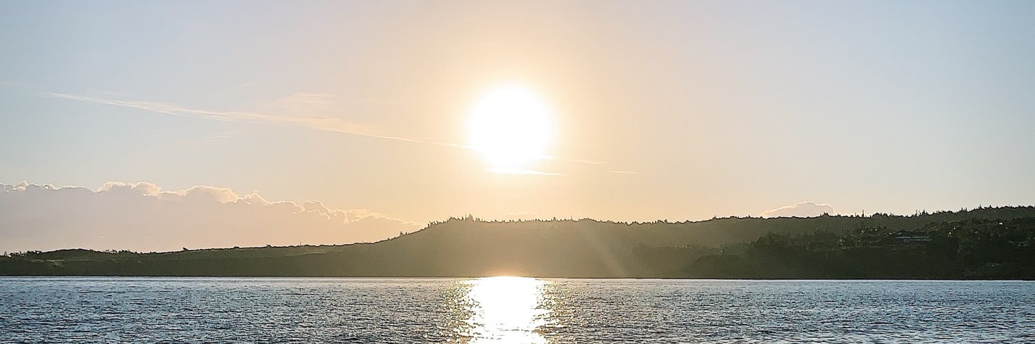 RDIZZAL's profile banner image