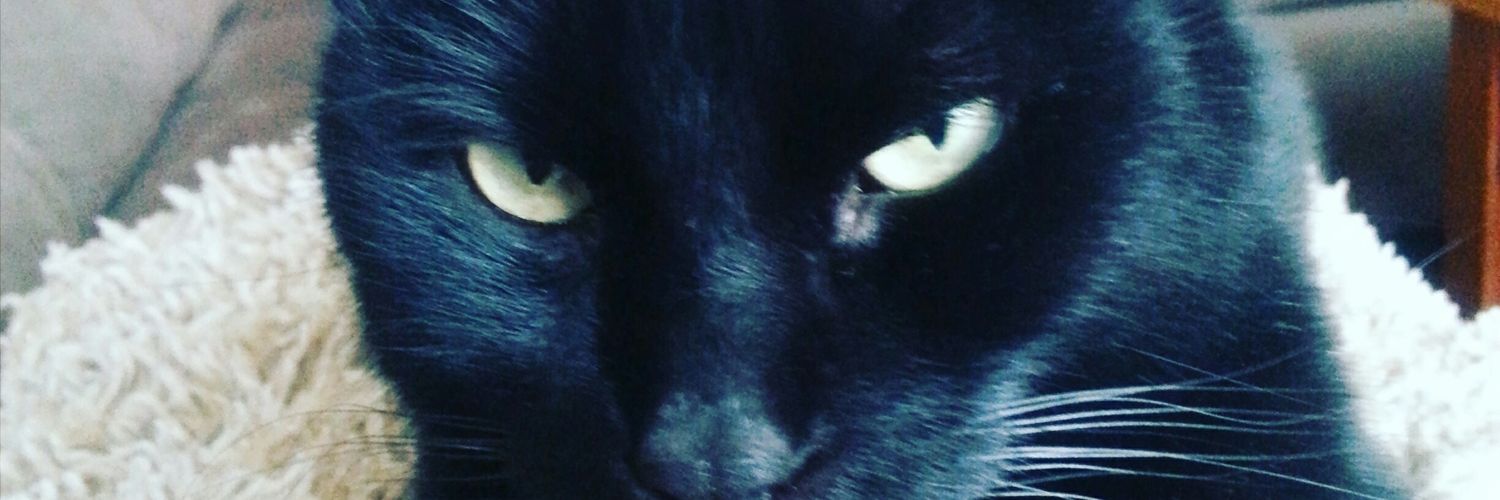 bigmoman501's profile banner image