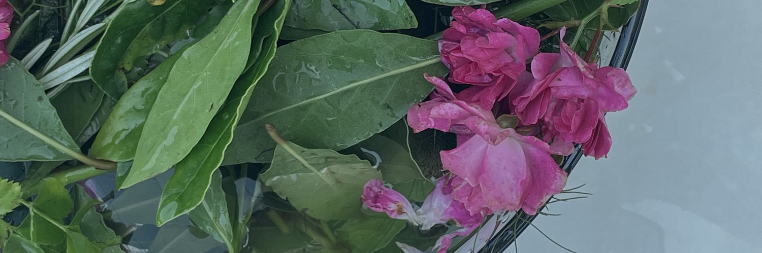 andrecarol79's profile banner image