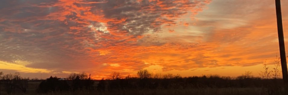 TerriMarie64's profile banner image
