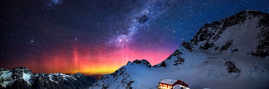 =^..^= radical cat lady =^..^= banner