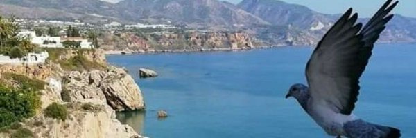 PerujoMaria Profile Banner