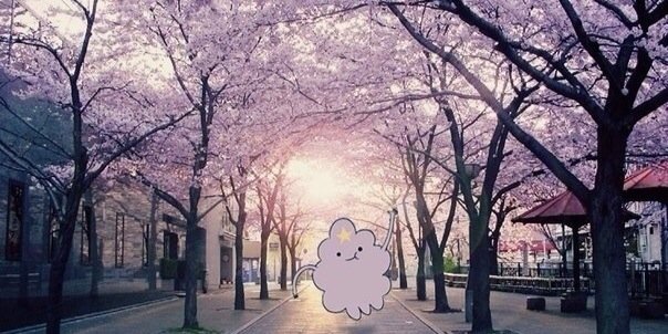 milkpelmen's profile banner image