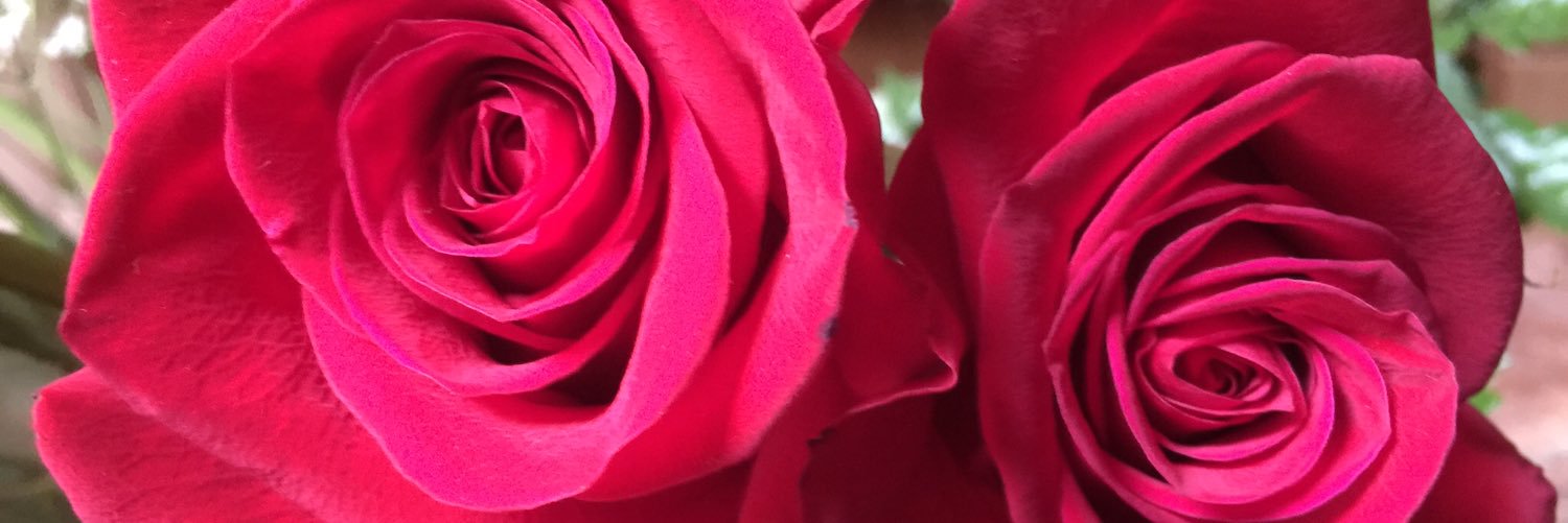 claudiahope33's profile banner image