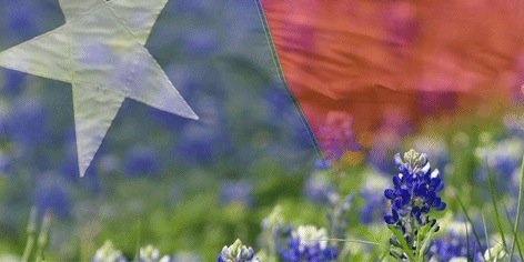 Micah_Rod's profile banner image
