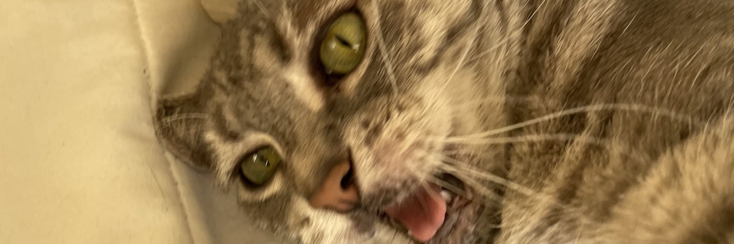 smells4mells's profile banner image