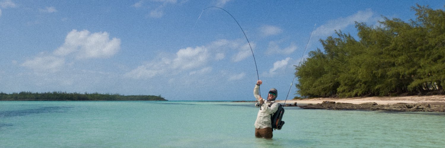 blackwellcarter's profile banner image