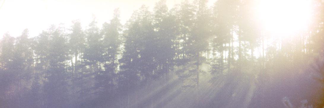 _Alexander_IV_'s profile banner image