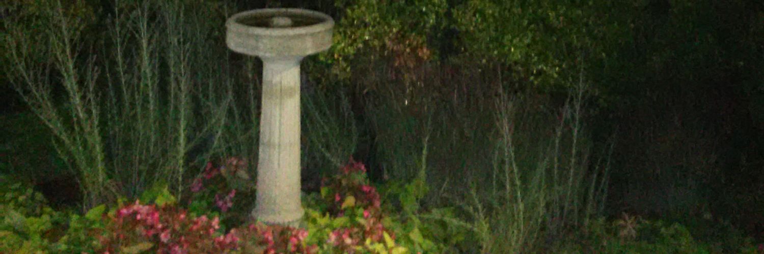 tracegod's profile banner image