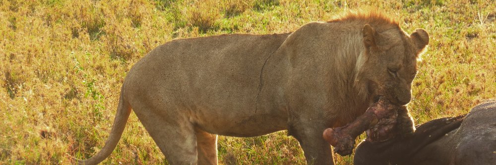 FahadYasin's profile banner image