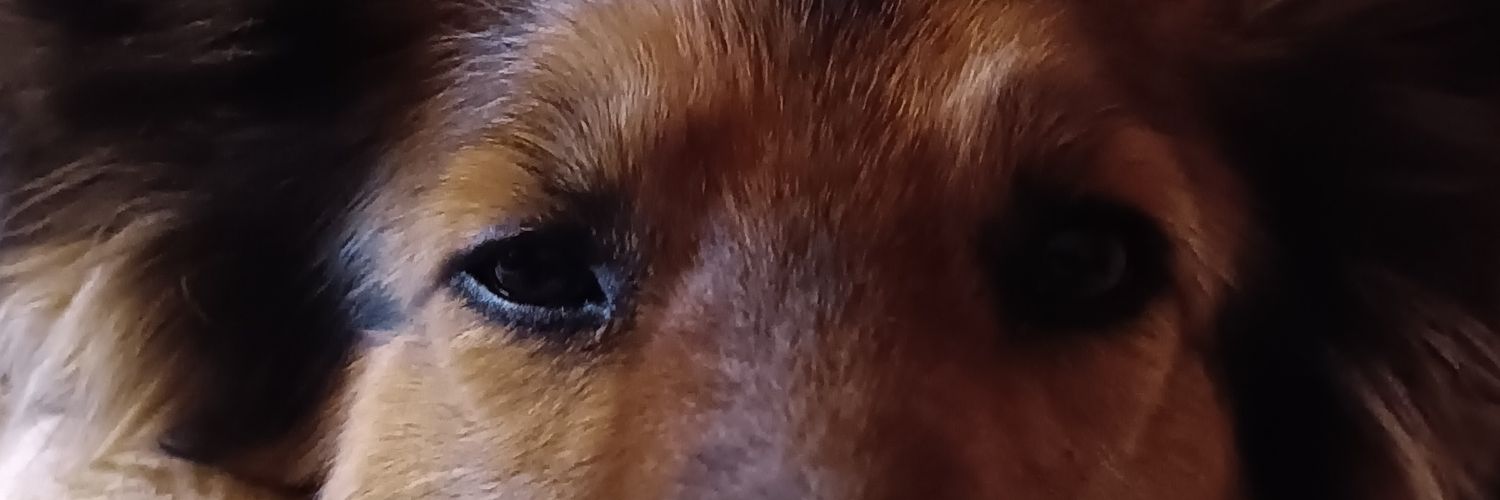 LpPruzzo's profile banner image