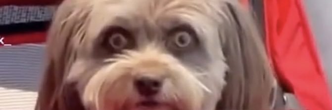 gabyc00l's profile banner image