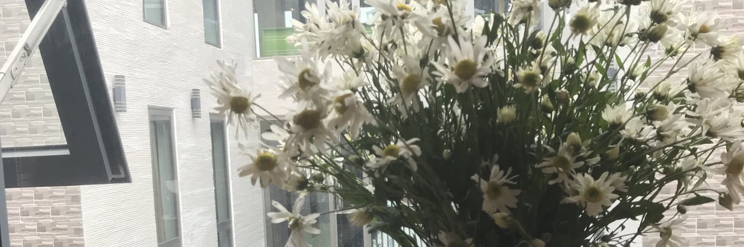 boshpro's profile banner image