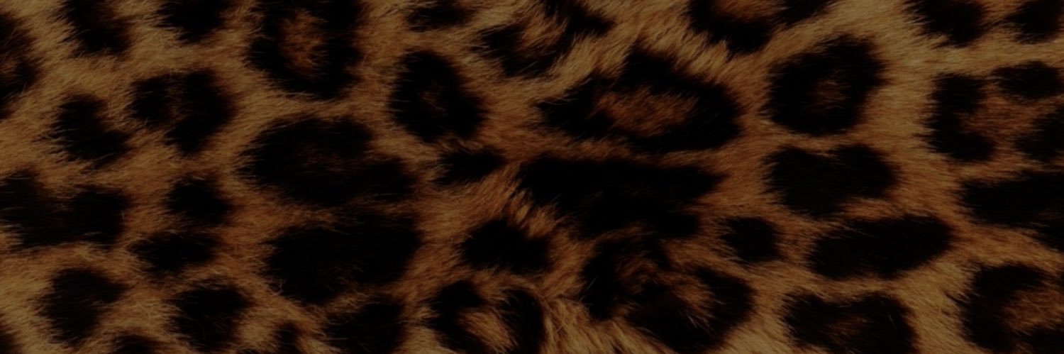 dxymmrs's profile banner image