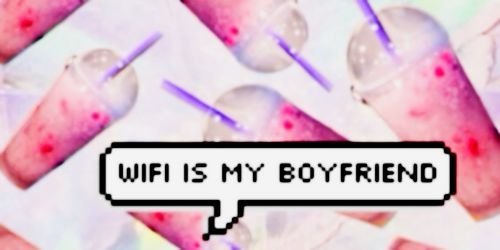 라니 banner