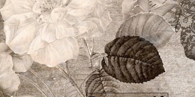 aricoleana's profile banner image