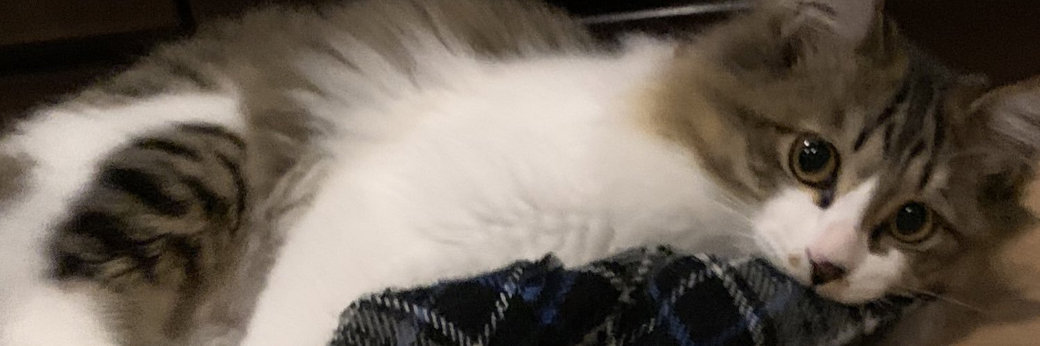 M_ap7's profile banner image