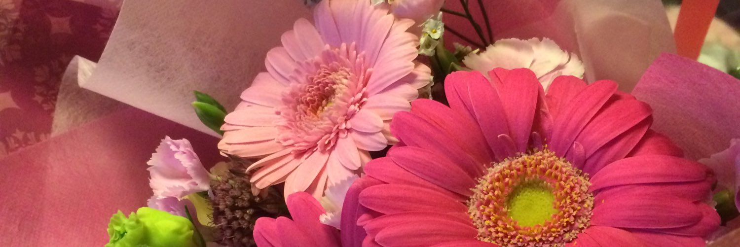 keimama1's profile banner image